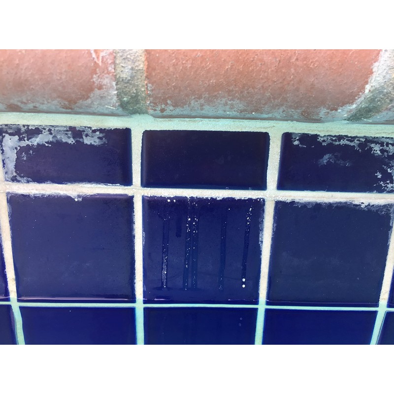 Calcium Releaser & Scum Line Remover- Guardian Pool & Tile