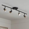Pro Track 4-Light Heads LED Ceiling Track Light Fixture Kit