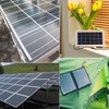 Solar Panel Cable Clamps Photovoltaic Cable Clips Cable Holder Cable