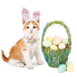 ADOGGYGO ADOGGYGO Easter Cat Collars with Removable Flower Bell, Adjustable Rabbit Easter Eggs Pattern Cat Floral Collars for Cats Kittens