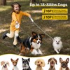 Petsuper 16Ft Auto-Brake Retractable Dog Leash for Middle Large Dogs