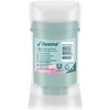 Rexona Invisible Balm Melocotón & Peonia 41g