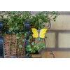 Wildlife Garden - Magnet Butterfly Common Brimstone (WG593) - Hand