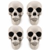 4 Pcs 5in Plastic Skulls Halloween Skeleton Cobweb 20 Spiders
