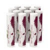 Forever Living Products Aloe LipsT (Pack of 12) Lip Balm