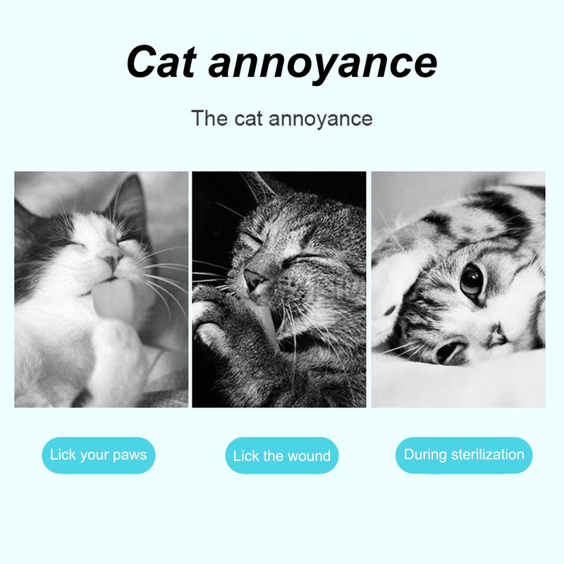 Amexo Cat Collar, Adjustable Cat Collar for Use in Cats