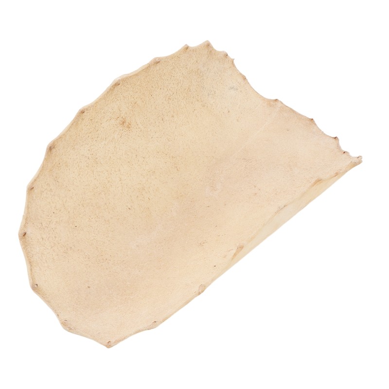 Goatskin Drum Head for Bongo Shaman Drums Djembe Replacement Parts