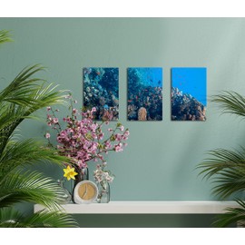 Clip Frame 6"x4" 15cm x 10cm