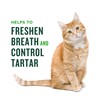 Minties Dental Treats for Cats, Salmon Flavored Treats for Cats,