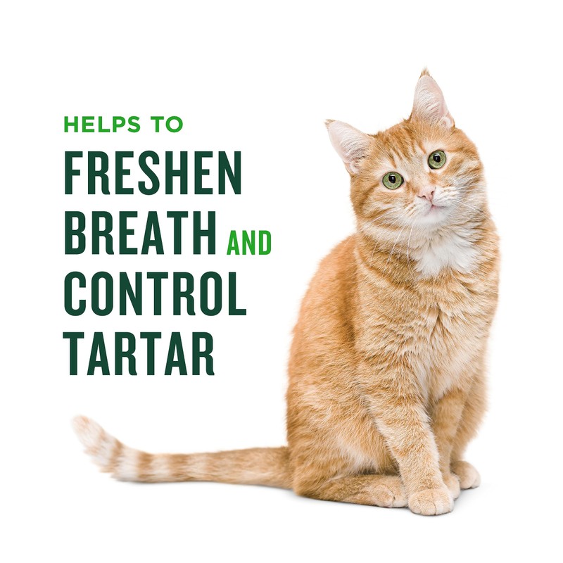 Minties Dental Treats for Cats, Salmon Flavored Treats for Cats,
