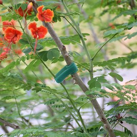 Garden Hook＆Loop Plant Cable Ties, Multi-functional Garden Ties, Adjustable Garden Nylon Ties for Supporting Plant and Vines(50 Pcs, 8 Inch, Green)