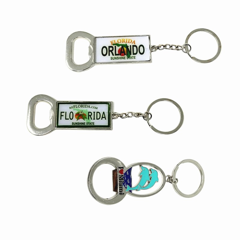TSY TOOL 12 Pack of Florida State Keychain Metal Ring,