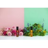 Do Organic Refining Hair Oil Smooth Hair Oil Body