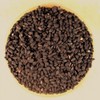 Nigella Sativa Seeds - 4.1 oz Stovetop Shaker Jar