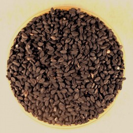 Nigella Sativa Seeds - 4.1 oz Stovetop Shaker Jar