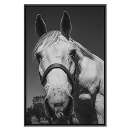 SIGNWIN Framed Canvas Wall Art High Contrast Horse Animals Black and White Duotone Expressive Grey Horse Living Room Photography Rustic - 24x36 inches