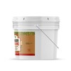 Unpretentious Ground Ginger, 1 Gallon Bucket, Indian & Asian Cuisine,