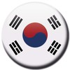 South Korea Flag Fridge Magnet Country Flags Travel Souvenir Fridge