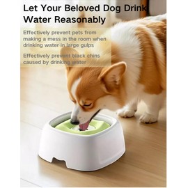 Scirove No-Spill Water Bowl for Dogs/Cats,50oz Adjustable Slow Water Bowl,Pet Slobber Stopper Water Dispenser(Green)
