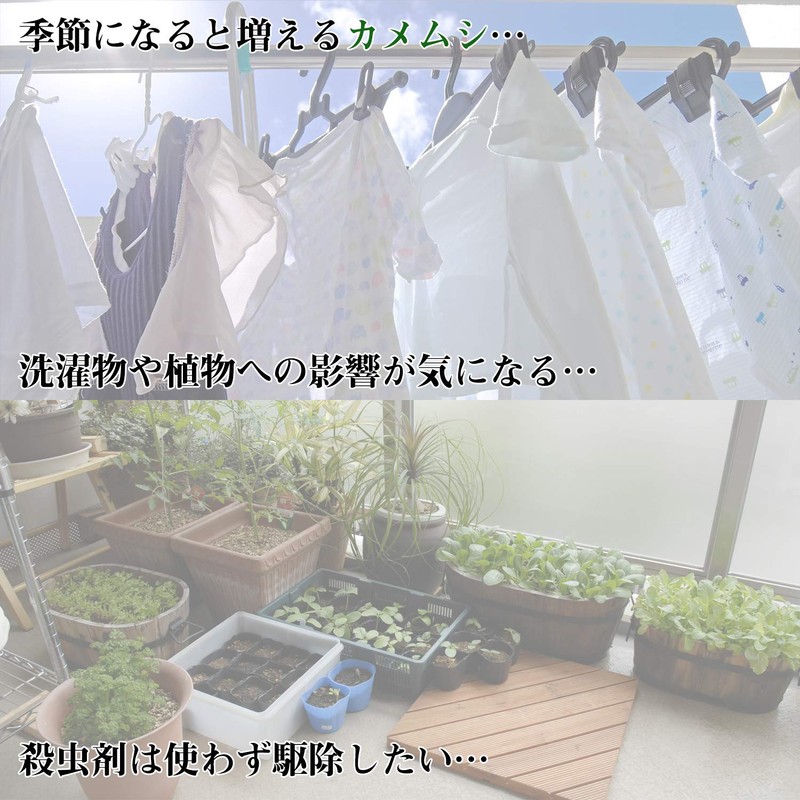 Home Chemical Rye Grass No. Tape 30 mm X 10