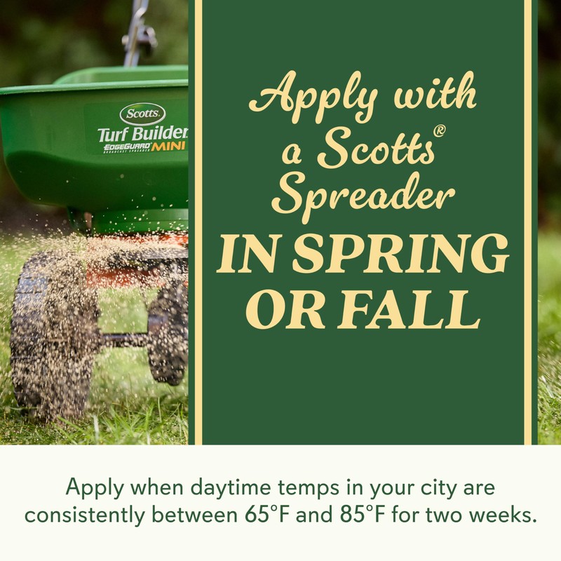 O.M. Scott and Sons Tall Fescue Blend Grass Seed -
