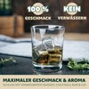 bremermann Ice Cube Set 10 Pieces // 8x Stainless Steel