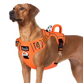 Eyein Dog Harness Large Dog, Anti Pull Adjustable Heavy Duty Pet Vest Harness with 2 Clips, Easy Control Escape Proof Puppy Harness with Soft Padded Handle Reflective for Outdoor Training Walking, L