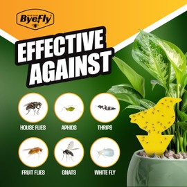 ByeFly Fruit Fly & Gnat Traps 30 Pack - Non-Toxic Sticky Traps for Plants