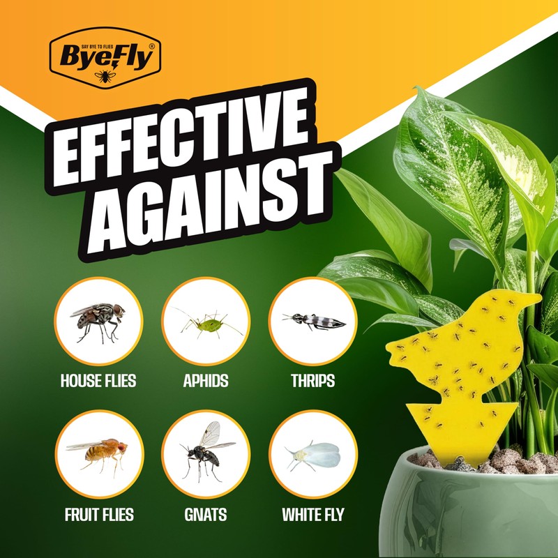 ByeFly Fruit Fly & Gnat Traps 30 Pack - Non-Toxic