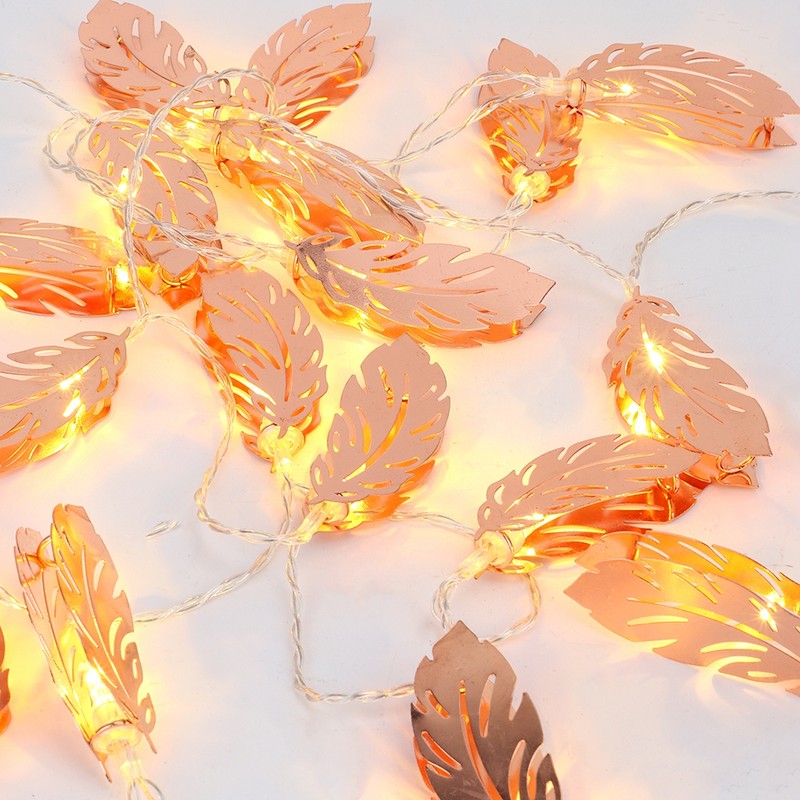 20 LED 2.5m Fairy String Light for Bedroom Lawn Landscape
