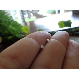 Flat mini dot studs. Small, delicate earrings, stud earrings, flat studs, silver, silver