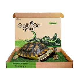 Gotta Go Grass for Reptiles - Natural Grass Bedding Mat & Resting Pad, Real Lawn Patch for Tortoises, Lizards, Snakes and Amphibians, Safe & Absorbent Reptile Substrate, 16" x 24" (Refill 1-Pack)