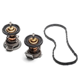 08-10 Ford F250 F350 Super Duty 6.4 Turbo Diesel Engine Thermostats & Gasket OEM