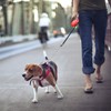 Idepet Heavy Duty Retractable Dog Leash for Small and Medium