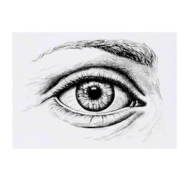 'Eye Sketch' Temporary Tattoo - Water Resistant, Skin-Safe, Non-Toxic Transfer (TO00070453)
