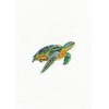 DMC - Swimming Tortoise Cross-Stitch Kit