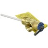 150psi T&P Valve