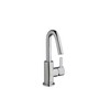 Danze D222530 Amalfi Single Handle Lavatory Faucet, Chrome