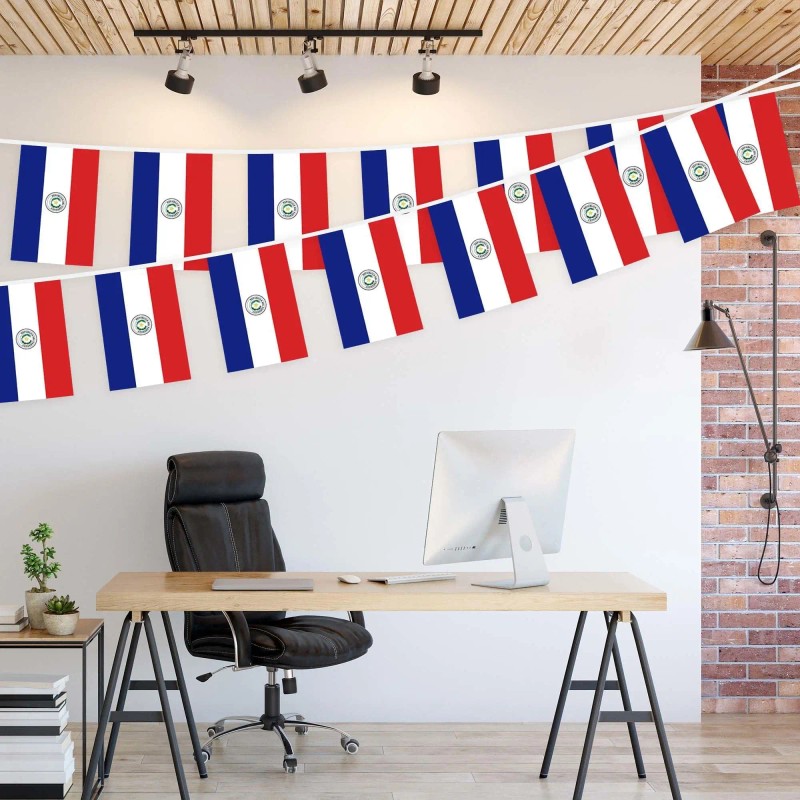 UD_G128 8.2 X 5.5 Inch Paraguayan Bunting Banner Flag Printed