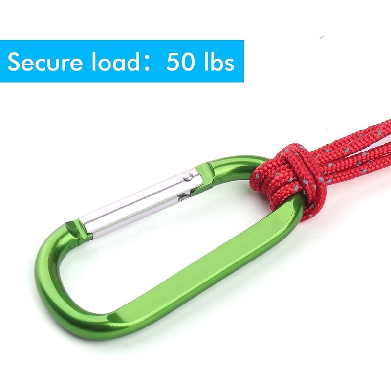 CampTek 6PCS Carabiner Caribeaner Clip,3" Large Aluminum D Ring Shape