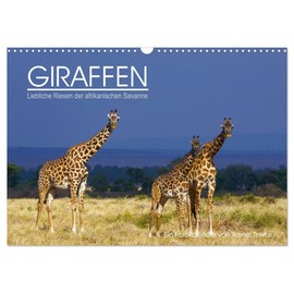 Giraffes - Lovely Giants of the African Savannah (Wall Calendar 2026 DIN A3 Landscape), CALVENDO Monthly Calendar: Giraffes - the Giants of the Savannah on ... Rainer Tewes Captured (CALVENDO Animals)