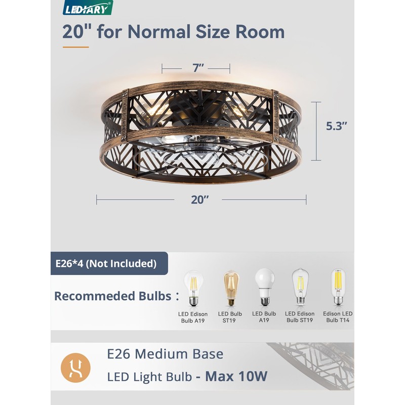 LEDIARY 20" Caged Ceiling Fan with Light, Small Flush Mount,