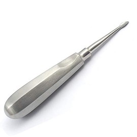 G.S Root Elevator #60 Straight Spade Concave Tip Dental Instruments Best Quality