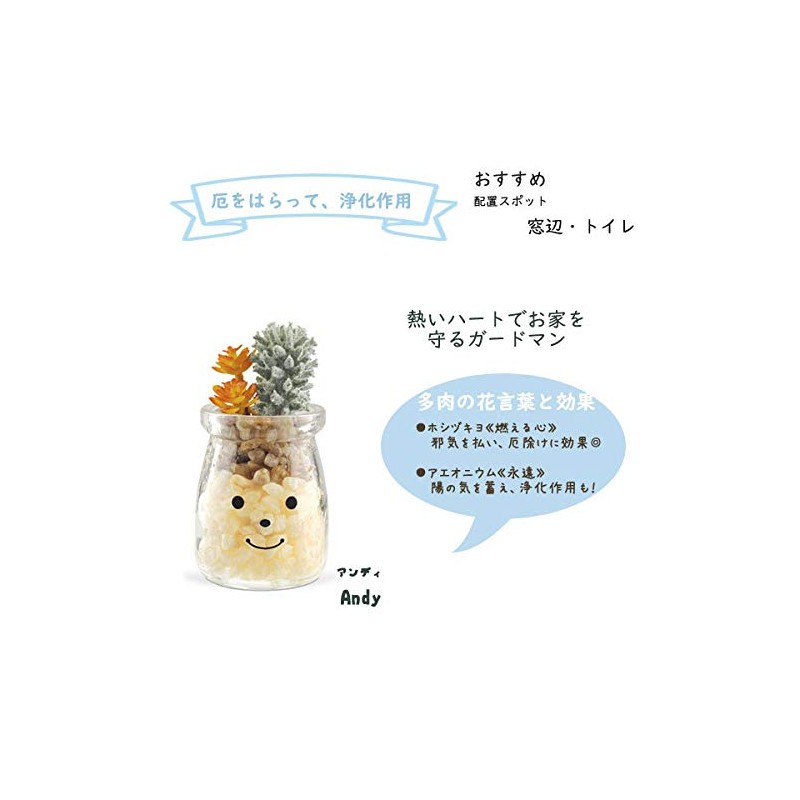 Kishima Deodorizing Goods General Green φ2.2 x H4.1 inches (5.5