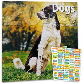 Dogs Calendar Set - Deluxe 2026 Dog Lover Wall Calendar Bundle with 100+ Reminder Stickers | Puppy Themed Office Supplies