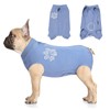 Jiupety Dog Recovery Suit Blue Medium