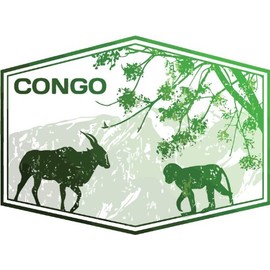 Congo Monkey Travel Green Grunge Stamp Car Bumper Sticker Decal 5" x 4"