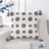 PANOD Super Soft Farmhouse Decorative Plush Throw Pillow Covers 24