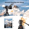K&F CONCEPT 73” Camera Tripod with Fluid Head, Aluminum Travel
