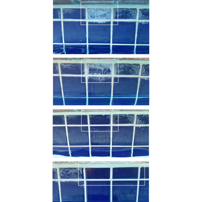 Guardian Pool Care Pack-Tile Cleaner (32 oz), Filter Cleaner (32